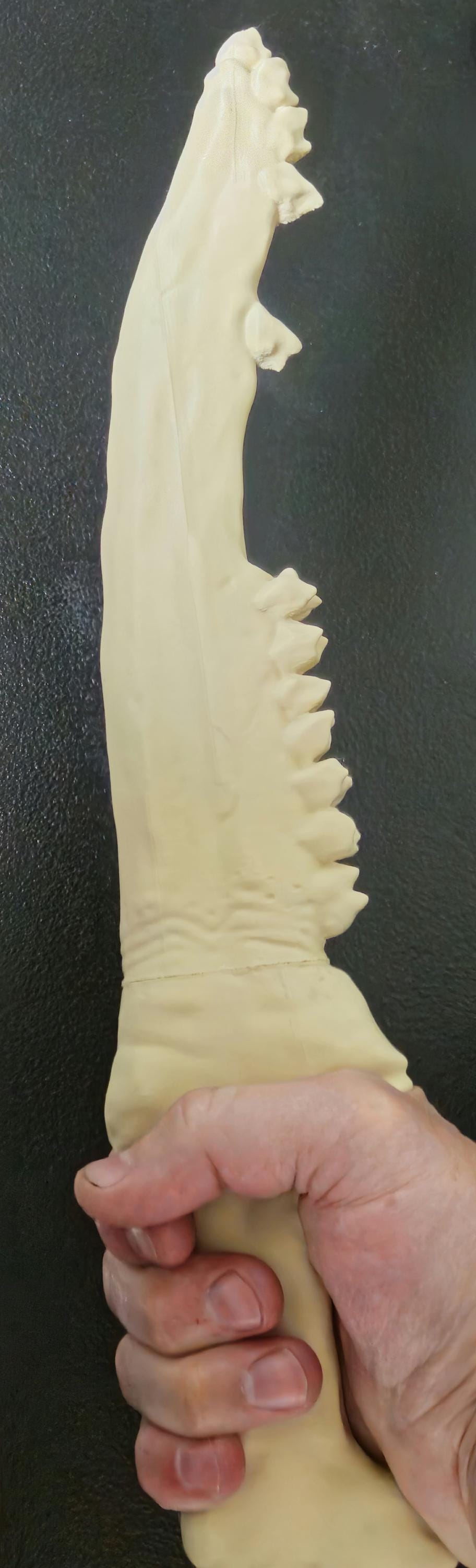 Supernatural First Blade of Cain: Unfinished 3D Printed Prop Kit