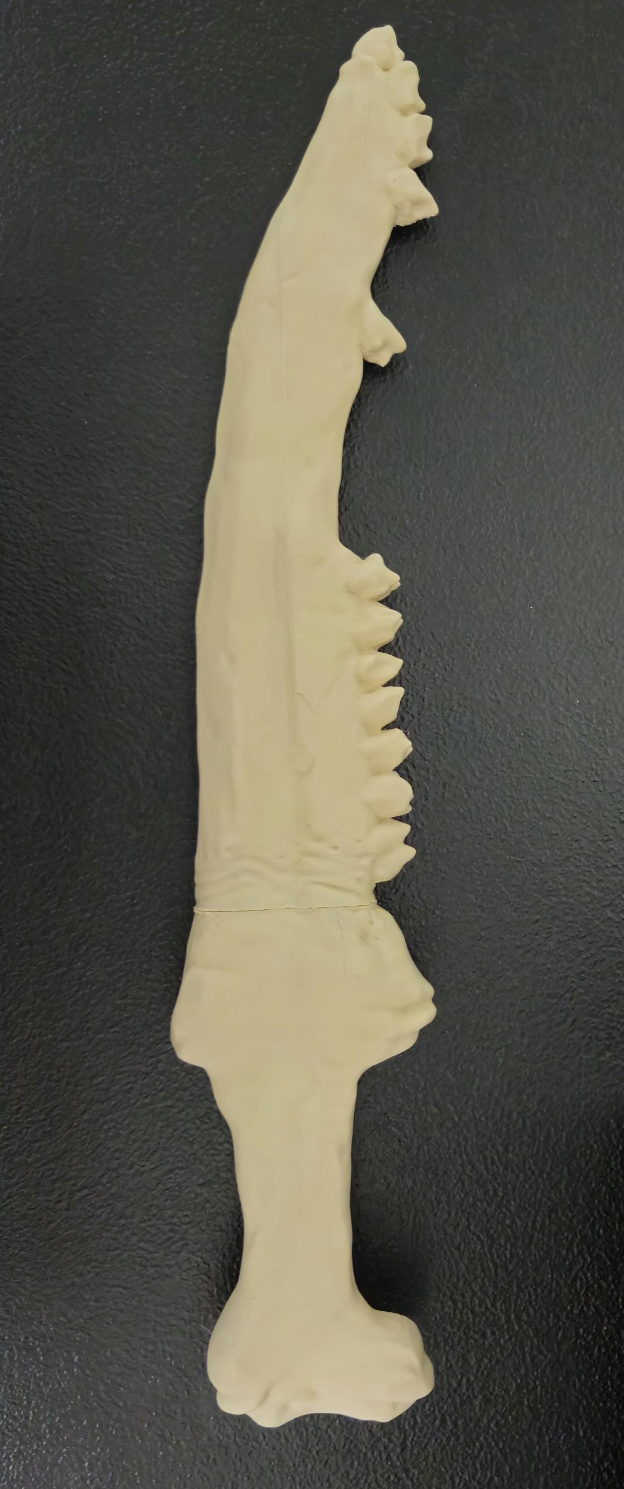 Supernatural First Blade of Cain: Unfinished 3D Printed Prop Kit
