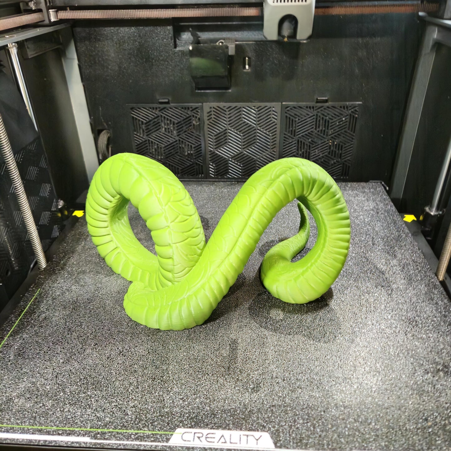 Silent Slither Anaconda Wall Controller & Headset Holder | Snake Gaming Wall Mount